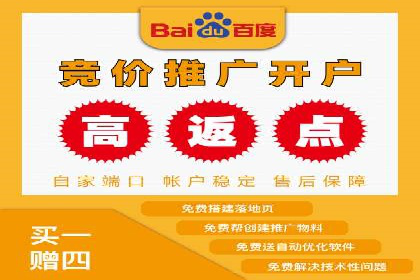案例分享：百度竞价广告投放策略与效果